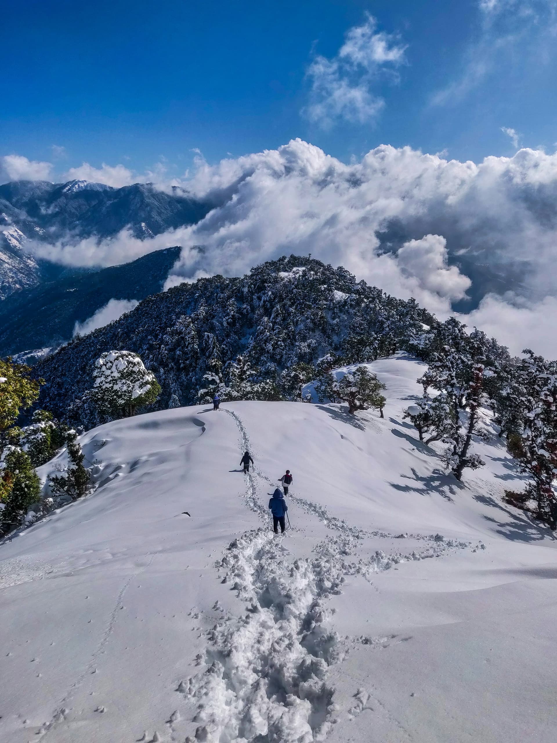 Kasauli landscape